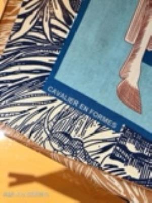 wholesale quality hermes silk scarf model no. 100